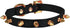 LOVPE One Row Golden Spiked Studded Leather Dog Collar with Rhinestone Buckle for Small Dog/Cat Puppy Kitty (Black, S)