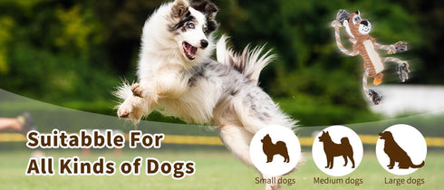 Squeaky Dog Toys, Interactive Durable Rope-Infused Lion Shape Chew Toys for All Dog Sizes