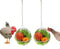 Vehomy Chicken Treat Ball Chicken Vegetable Feeder Veggie Hanging Ball Toy for Hens