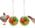 Vehomy Chicken Treat Ball Chicken Vegetable Feeder Veggie Hanging Ball Toy for Hens
