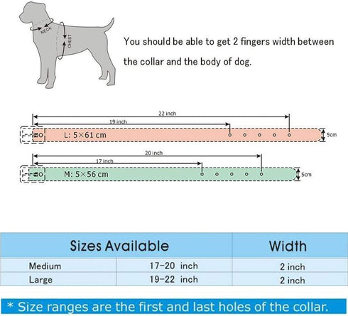 2" Width Leather Dog Collar, Spiked Studded Dog Collar Heavy Duty Dog Collar Adjustable for Medium Large Dogs (L, Black)