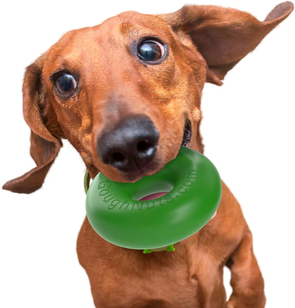 Goughnuts Rubber Dog Chew Toy, Medium 0.75, Green Ring