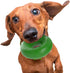 Goughnuts Rubber Dog Chew Toy, Medium 0.75, Green Ring