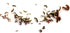 FloridaPets Live Foods 20 50 FloridaPets Live Saltwater Ghost Shrimp and Amphipods Aquarium Fish Food
