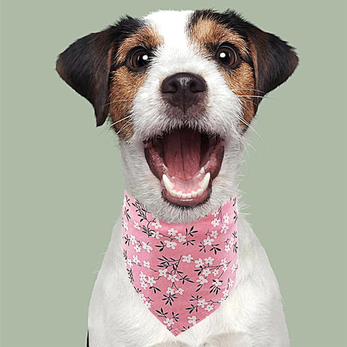 50pcs PET SHOW Cotton Small Dog Bandanas Bulk Girl Female Cat Puppies Bibs Washable Triangle Head Scarfs Wholesale