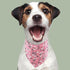 50pcs PET SHOW Cotton Small Dog Bandanas Bulk Girl Female Cat Puppies Bibs Washable Triangle Head Scarfs Wholesale