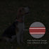 Reflective Dog Collar, Padded Soft Neoprene, Quick Release Basic Collars for Small Dogs, Red for Girl or Boy