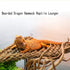 kathson Bearded Dragon Hammock with Suction Cups, 2 PCS Reptile Terrarium Leaves, Habitat Decor for Lizards, Snakes,