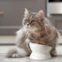 Y YHY Elevated Tilted Cat Food Bowl 6", Raised Ceramic Pet Food Water Dish 10 oz, White