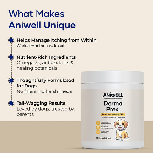 Packed DermaPrex: A New Age Natural Formula for Itching & Allergy, Vitamin E & Borage Oil Supplement with Beneficial