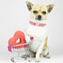 Valentine's Day Dog Collar for Medium Dogs, White Red Pink Love Collar with Safety Metal Buckle, Adjustable M-Neck