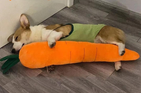 YASREKUYI Carrot Style Squeaky Large Plush Dog Toys - Small Breed Puppy Chew Toys - Chewing Toys for Dogs - Large&Small