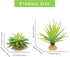 JIHAQUA 2-Piece Set,Lifelike Reptile Terrarium Decor Realistic Succulent Plastic Plants for Geckos, Bearded
