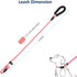 WePet Dog Training Slip Leash, 6 ft, 1/2 inch, Fuchsia/Green, Durable Reflective Lead, Comfortable Handle, Heavy Duty