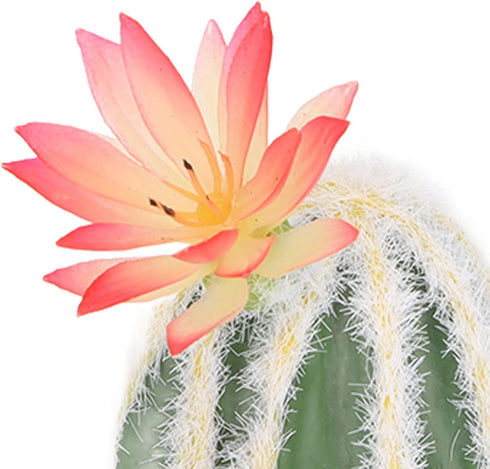 HEEPDD Artificial Cactus Plant, Aquarium Landscaping Decoration for Fish Tank and Reptile Terrarium