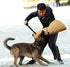 Morezi Dog Bite Sleeve Training Toy for Large Dogs - Fits Pitbulls, German Shepherds, Ideal for Young Dogs