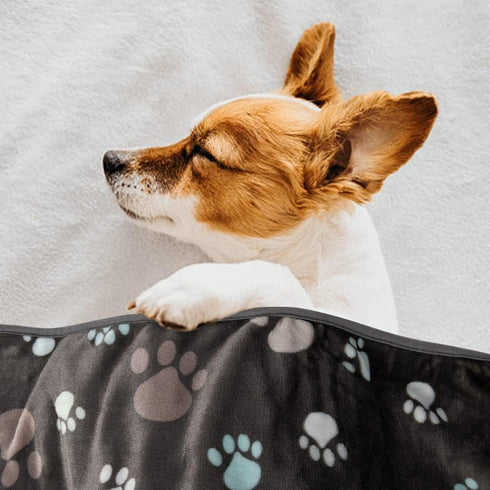 3 Pack Blankets for Dogs, Super Soft Fluffy Fleece, 30x20 inch Grey Flannel Throw for Dog, Puppy, Cat Paw