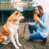 Dragon Egg Dog Chew Toys for Aggressive Chewers, Indestructible Tough Toys for Medium Large Dogs (Orange)