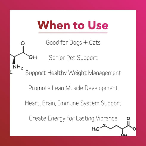 InClover Heart+ Dog and Cat Cardiac Health Supplement, Taurine Supplement for Dogs & Cats, Supports Heart & Immune