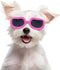Enjoying Dog Goggles for Small Breed, UV Protection Sunglasses, Windproof, Dustproof, Adjustable Straps, Pink
