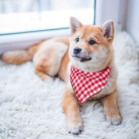Dog Bandanas - 6PCS Washable Birthday Christmas Gift, Black Blue Red Plaid Printing Adjustable Accessories