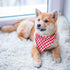 Dog Bandanas - 6PCS Washable Birthday Christmas Gift, Black Blue Red Plaid Printing Adjustable Accessories