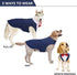 DORA BRIDAL Dog Tuxedo for Large Dogs, Formal Wedding Outfit with Bowtie and Bandana Set, XL, Blue