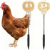 PRINTUB 2 Pack Chicken Pecking Toys, Chick Interactive Slow Feed Enrichment Toy, Chicken