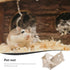 4.52X3.93X6.69 Inch POPETPOP Handmade Wooden Hamster Chair with Tray Small Pet Feeding High Chair for Hamsters Guinea