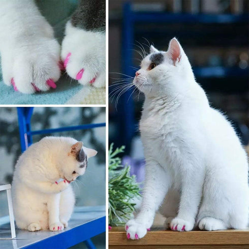 VICTHY 100pcs Cat Nail Caps, Cat Claw Covers with Adhesive Glue and Applicators (S)