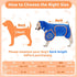 2XL) SlowTon Dog Bathrobe Drying Coat Super Absorbent Microfiber Towel Wrap with Adjustable Collar & Belly Strap, Fast