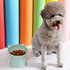 3pcs Elevated Cat Bowls, Raised Feeding Bowls with Stand, Anti Vomit Cat Food Bowl, Tilted Cat Feeder Dishes