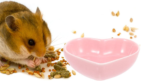 ULTECHNOVO Hamster Ceramic Food Bowl, 3pcs Cute Shape Food Dish for Hamster, Rat, Mice, and Small Animals