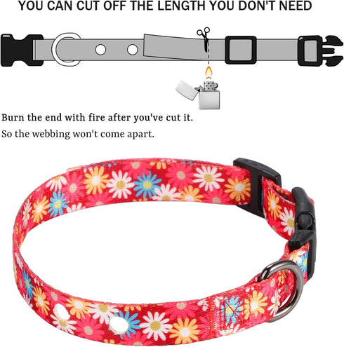 Rhea Rose 1 Inch Shock Collar Replacement Strap, Red Daisy, 2 Holes, Compatible with Most Underground Dog Fences