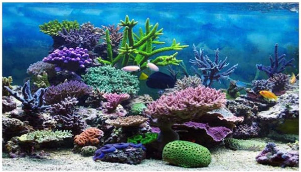 Fish Tank Poster Coral Aquarium Background, Underwater Poster Stickers for Fish Tank 61 * 30