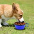 Dog Bowl Pet Collapsible Bowls, 2 Pack for Cats Dogs, Portable Pet Feeding Watering Dish with 2 Carabiners (Small,