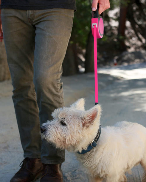 Taglory Retractable Dog Leash, 16ft for Small Medium Dogs up to 44 lbs, One-Handed Brake, Lock, Pink