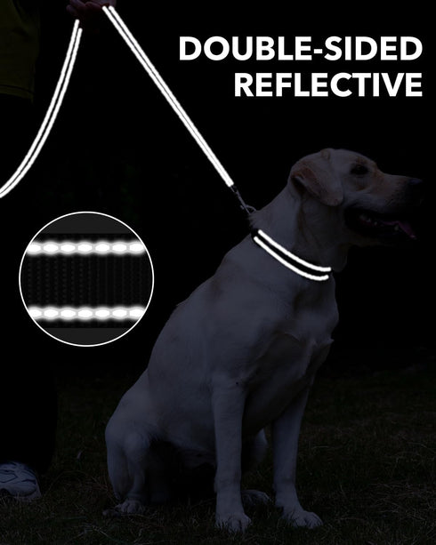 Taglory Dog Leash - Black Double-Sided Reflective Leash with Soft Neoprene Padded Handle, 3/4 inch by 6 ft for Small
