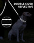 Taglory Dog Leash - Black Double-Sided Reflective Leash with Soft Neoprene Padded Handle, 3/4 inch by 6 ft for Small