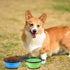 Collapsible Dog Bowl, 2 Pack Portable Foldable Pet Travel Bowls with Lids (Small, Blue+Green)