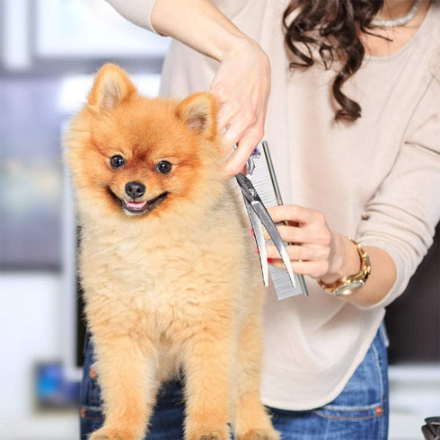Dream Reach Dog Grooming Scissors - 6.5" Professional Sharp Downward Curved Shears with Ergonomic Handle for Cats and