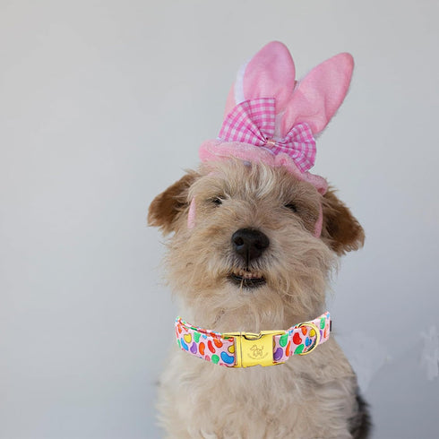 Elegant Little Tail Easter Dog Collar, Colorful Candy Print Adjustable Collar for Medium Dogs