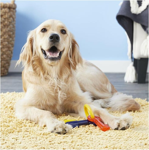 Generic (7" Puppy Teething Keys, Rings or Pacifiers Durable Dog Dental Health Colorful Chew Toys Small Teething Keys)