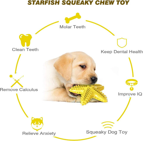 Dog Chew Toys, Squeaky Water Floating Starfish Toy, Natural Tooth Brush for Small Medium Dogs, Yellow