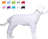 Lovelonglong Four Feet Dog Lightweight Pajamas, Pure Cotton Dog Jumpsuits T-Shirt for Large Medium Small Dogs (White S)