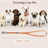 Pet Grooming Loop for Dogs - Adjustable Nylon Restraint Noose for Grooming Arm & Table - 5 Pack