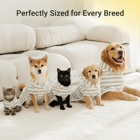 S(515 lb)) Dog Bathrobe, Microfiber Super Absorbent Pet Towel, Quick Drying Robe for Dogs Cats, Double Layer Hooded