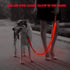 LED Dog Leash, USB Rechargeable Light Up Nylon Glowing Pet Leash for Night Walking (Red?)
