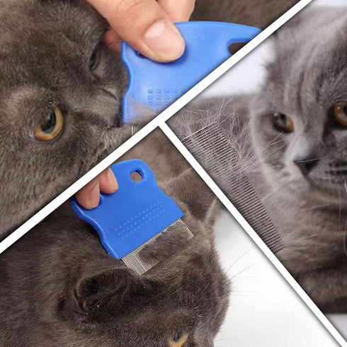 6 Pcs Pet Flea Combs for Dogs and Cats, Hair Removal Massaging Shell Combs in Random Colour