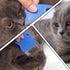 6 Pcs Pet Flea Combs for Dogs and Cats, Hair Removal Massaging Shell Combs in Random Colour